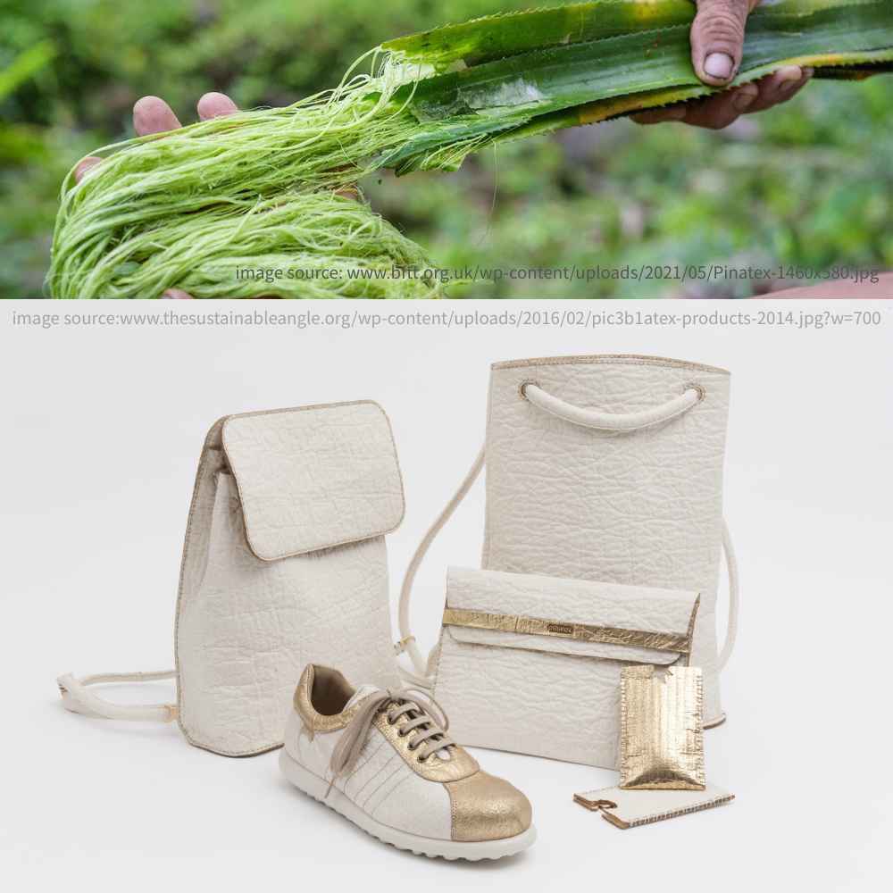 鳳梨纖維，像Piñatex®，是從鳳梨葉中提取出來的植物纖維，可以取代動物皮革。