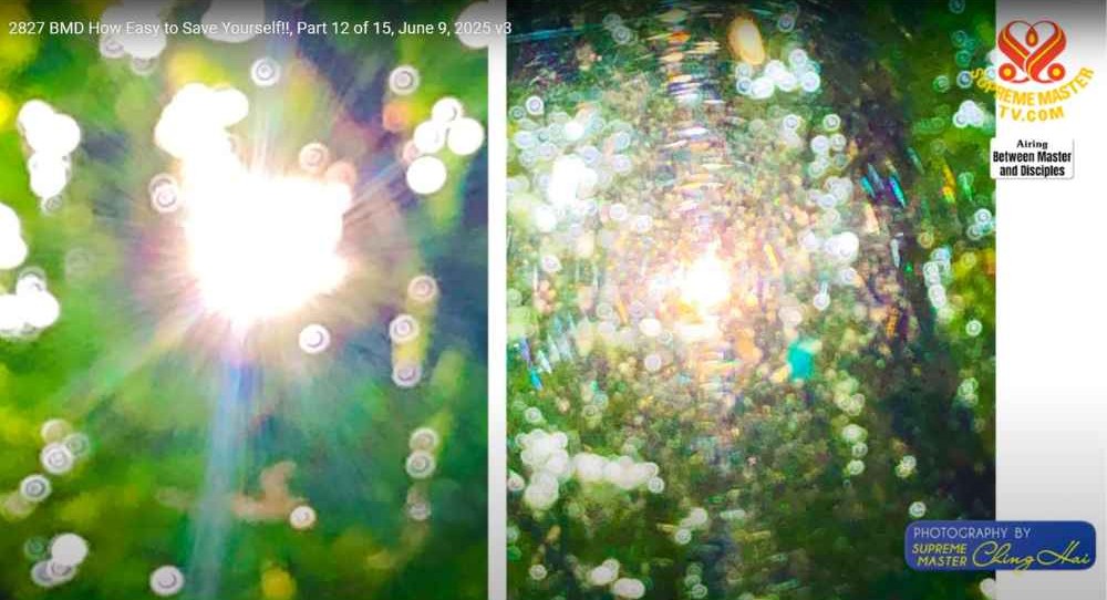 無上師拍攝太陽的照片中，出現光圈及許多「鈕扣」。