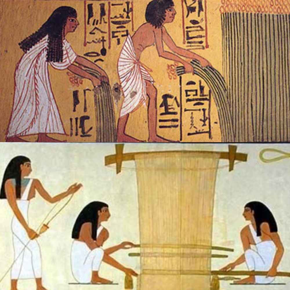 Linen is a cellulose fiber derived from the flax plant, with a history that can be traced back over 3000 years to ancient Egypt.