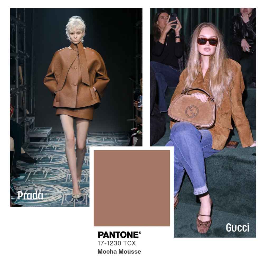 The Total Sweep of Mocha Mousse Brown and Chocolate Brown