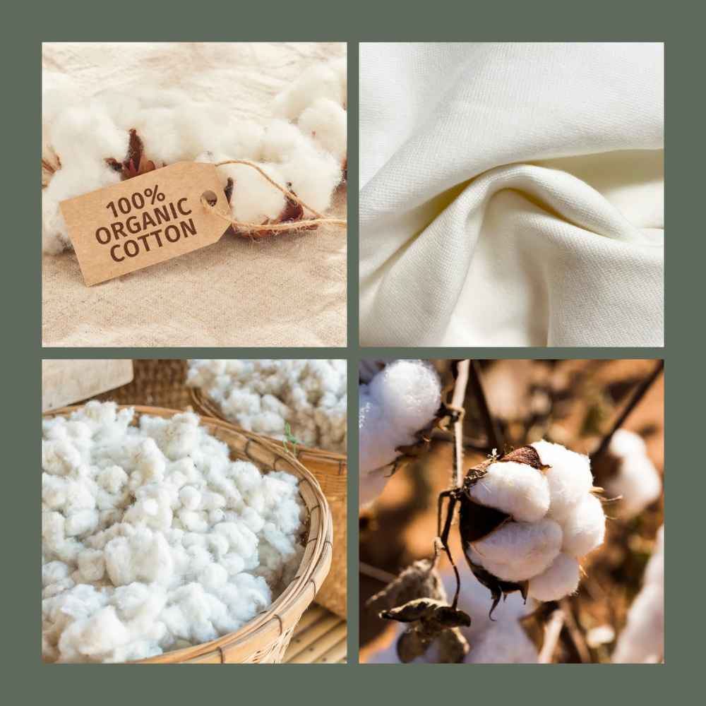The New Future of Organic Cotton and Sustainable Fashion