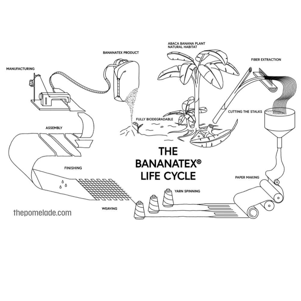 Production Process: From Banana Long Fibers to Spun Fabric
